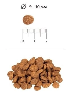 Blitz Adult Cat для взрослых кошек