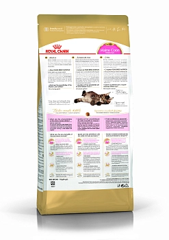 Royal Canin Maine Coon Kitten для котят породы мейн-кун