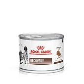Royal Canin Recovery консервы для кошек и собак в период выздоровления (паштет)