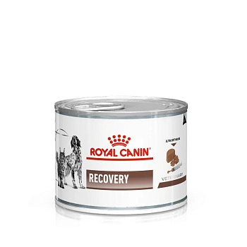 Royal Canin Recovery консервы для кошек и собак в период выздоровления (паштет)