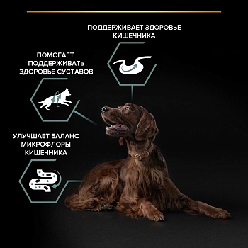 Pro Plan Large Adult Athletic для крупных собак атлетов с чувствительным пищеварением