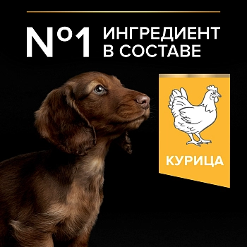 Pro Plan Small & Mini Puppy корм для щенков мелких и карликовых пород