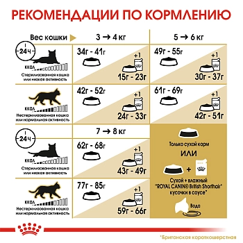 Royal Canin British Shorthair Adult для взрослых кошек британской короткошерстной породы