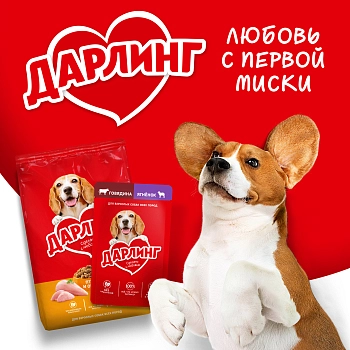 Дарлинг пауч для собак