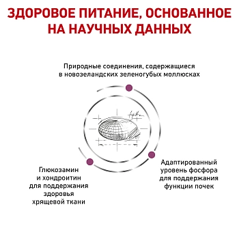 Royal Canin Mobility корм для кошек при заболеваниях опорно-двигательного аппарата