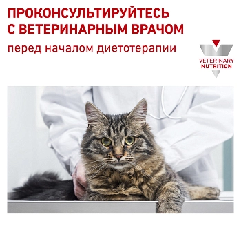 Royal Canin Early Renal для взрослых кошек при ранней стадии почечной недостаточности