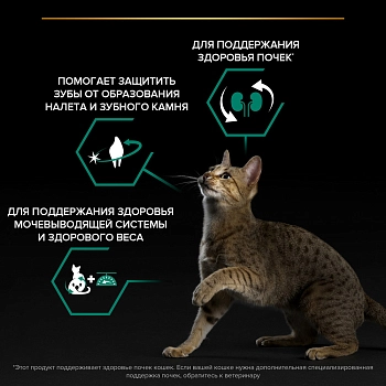 Pro Plan Sterilised для кастрированных котов и стерилизованных кошек