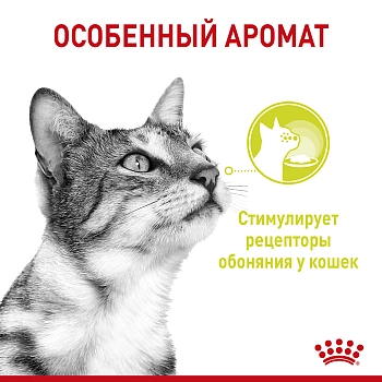 Royal Canin Sensory Smell пауч для взрослых кошек "Запах" (кусочки в соусе)