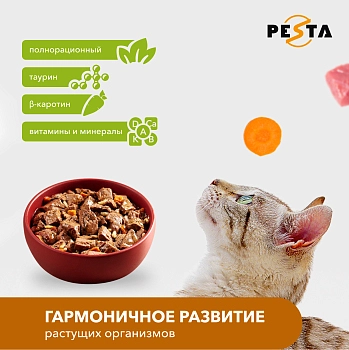 Pesta пауч для кошек (кусочки в желе)