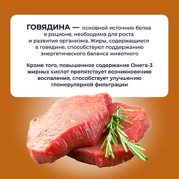 Jarvi Preventive diet line Renal пауч для кошек для профилактики заболеваний почек (соус)