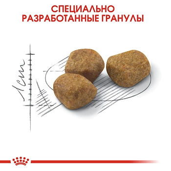 Royal Canin Indoor +7 для домашних кошек старше 7 лет