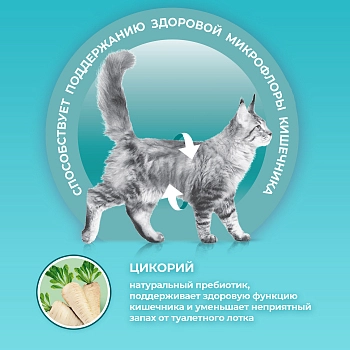 Purina One корм для взрослых кошек с чувствительным пищеварением