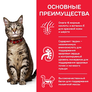 Hill's Science Plan Optimal Care корм для кошек от 1 до 6 лет