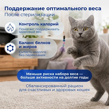 Jarvi сухой полнорационный корм для стерилизованных кошек и кастрированных котов старше 7 лет