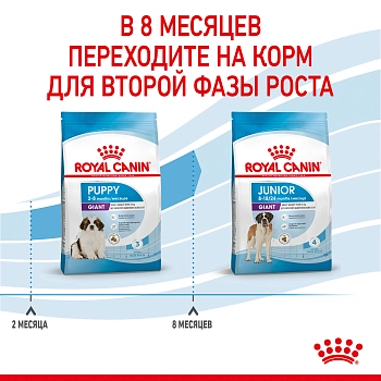 Royal Canin Giant Puppy для щенков до 8 месяцев гигантских пород