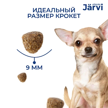 Jarvi сухой полнорационный корм для взрослых собак мелких пород с чувствительным пищеварением