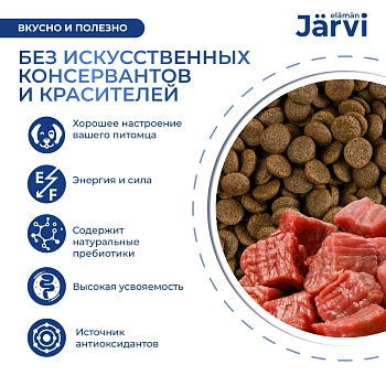 Jarvi сухой полнорационный корм для взрослых собак средних и крупных пород