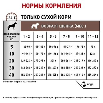 Royal Canin Gastrointestinal Puppy корм для щенков при нарушениях пищеварения