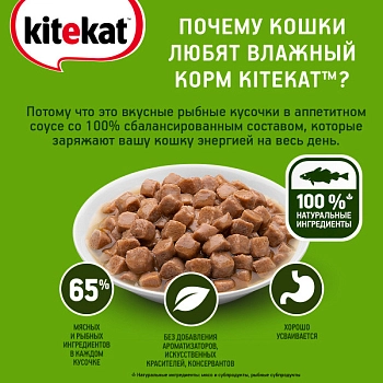 Kitekat пауч для кошек (кусочки в соусе)