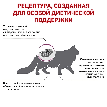 Royal Canin Renal корм для кошек при хронической почечной недостаточности