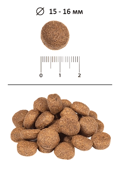 Blitz Adult Dog Chicken & Rice для взрослых собак всех пород