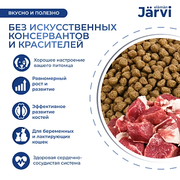 Jarvi сухой полнорационный корм для щенков мелких пород
