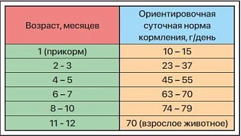 ZILLII Kitten Сухой корм для котят