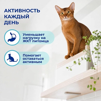 Jarvi сухой монопротеиновый полнорационный корм для кошек с чувствительным пищеварением