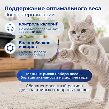 Jarvi сухой полнорационный корм для стерилизованных кошек и кастрированных котов