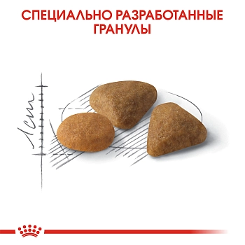 Royal Canin Exigent Savour Sensation для кошек привередливых ко вкусу продукта