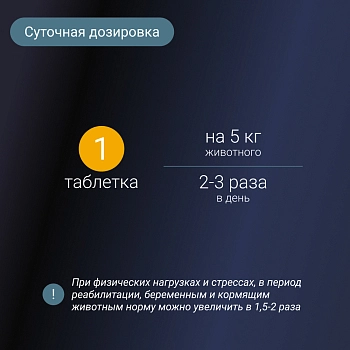 Healfort Premium SYMBIOTIC витамины c пробиотиком и пребиотиком для кошек и собак
