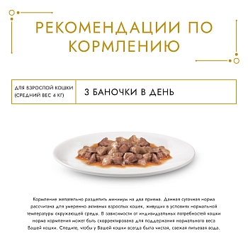 Gourmet Gold DeLuxe консервы для кошек (соус)