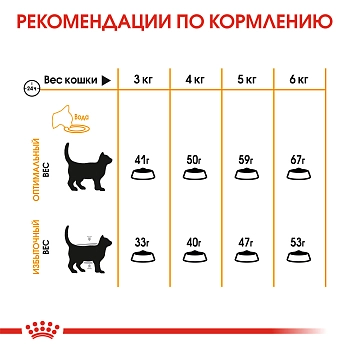 Royal Canin Hair & Skin Care для поддержания здоровья и шерсти кошек