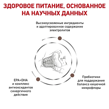 Royal Canin Gastrointestinal Fibre Response корм для кошек при нарушениях пищеварения
