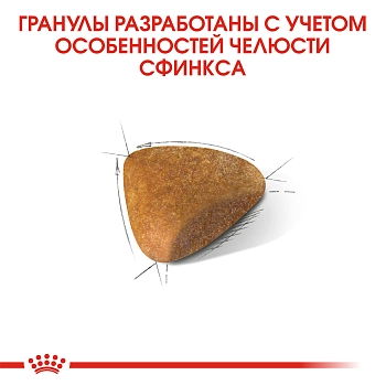 Royal Canin Sphynx Adult для взрослых кошек породы сфинкс