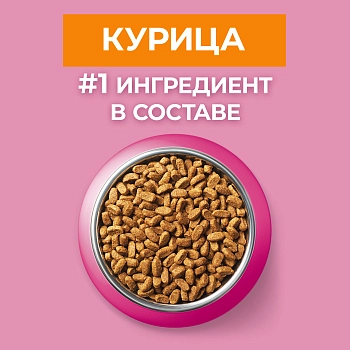 Purina One корм для котят