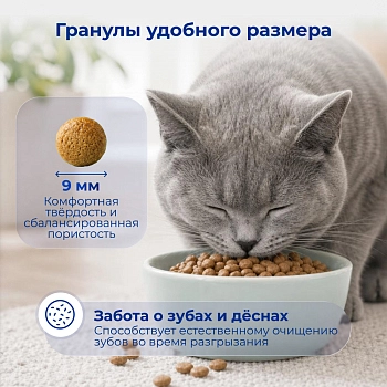 Jarvi сухой полнорационный корм для стерилизованных кошек и кастрированных котов старше 7 лет