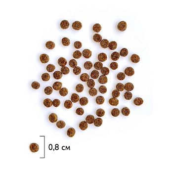 Brit Premium Cat Kitten для котят, беременных и кормящих кошек