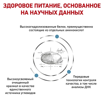 Royal Canin Anallergenic корм для кошек при пищевой аллергии