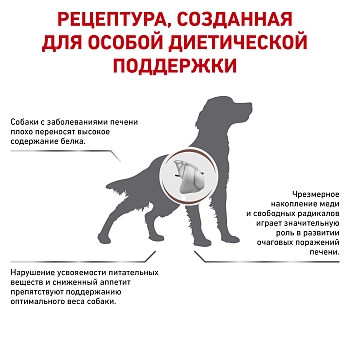 Royal Canin Hepatic корм для собак при заболеваниях печени