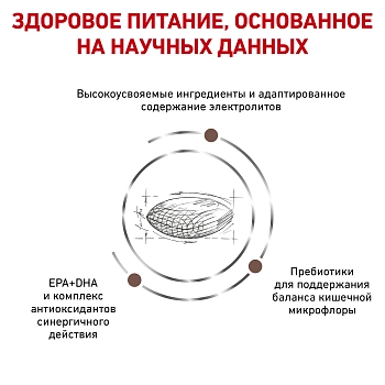 Royal Canin Gastrointestinal Hairball Control корм для кошек при патологии ЖКТ