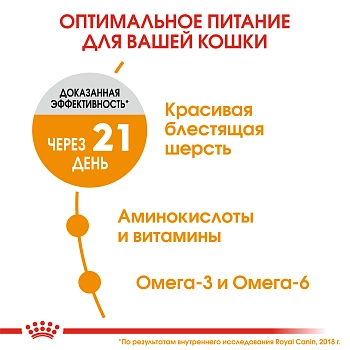 Royal Canin Hair & Skin Care для поддержания здоровья и шерсти кошек