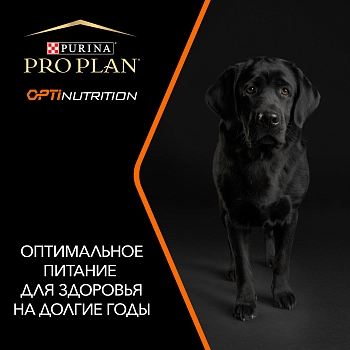 Pro Plan Large Adult Athletic корм для взрослых собак крупных пород атлетического телосложения