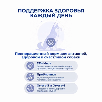 Jarvi сухой полнорационный корм для взрослых собак средних и крупных пород