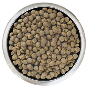 Pro Plan Large Puppy Robust для щенков крупных пород мощного телосложения