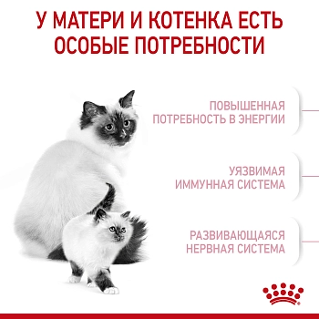 Royal Canin Mother & Babycat для котят от 1 до 4 месяцев