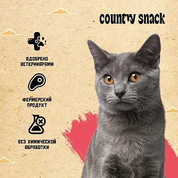 Country snack пауч для кошек (в желе)