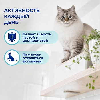Jarvi сухой монопротеиновый полнорационный корм для кошек для здоровой кожи и красивой шерсти