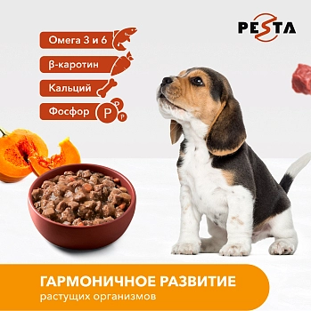 Pesta "Стью из говядины с мускатной тыквой" консервы для щенков и собак всех пород