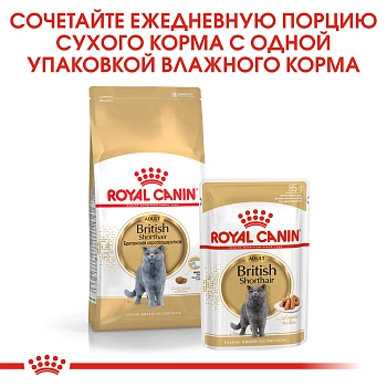Royal Canin British Shorthair Adult пауч для кошек британской породы (кусочки в соусе)